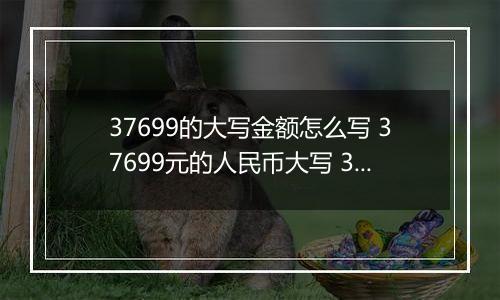 37699的大写金额怎么写 37699元的人民币大写 37699元的数字大写