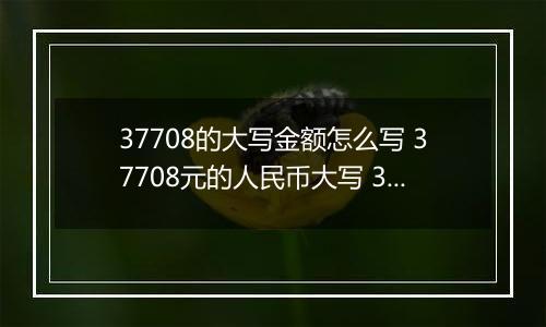 37708的大写金额怎么写 37708元的人民币大写 37708元的数字大写