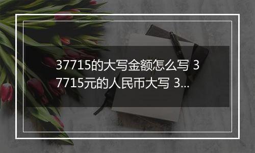 37715的大写金额怎么写 37715元的人民币大写 37715元的数字大写