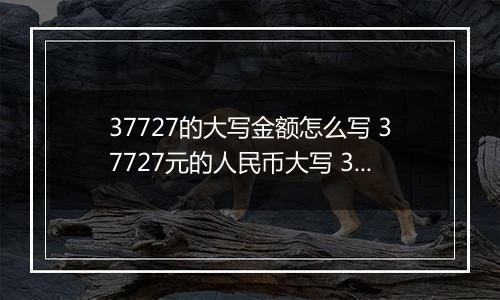 37727的大写金额怎么写 37727元的人民币大写 37727元的数字大写