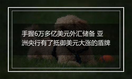 手握6万多亿美元外汇储备 亚洲央行有了抵御美元大涨的盾牌