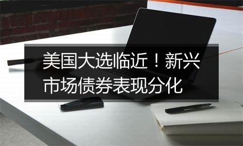 美国大选临近!新兴市场债券表现分化