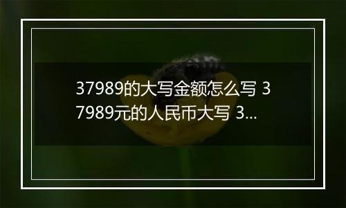 37989的大写金额怎么写 37989元的人民币大写 37989元的数字大写