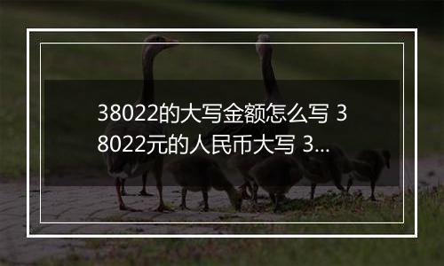 38022的大写金额怎么写 38022元的人民币大写 38022元的数字大写