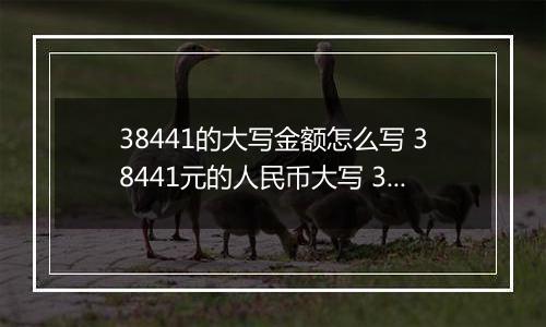 38441的大写金额怎么写 38441元的人民币大写 38441元的数字大写