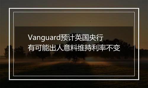 Vanguard预计英国央行有可能出人意料维持利率不变