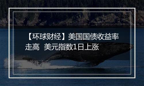 【环球财经】美国国债收益率走高 美元指数1日上涨