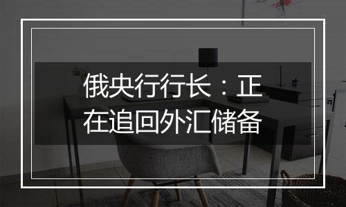 俄央行行长:正在追回外汇储备