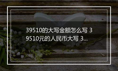 39510的大写金额怎么写 39510元的人民币大写 39510元的数字大写