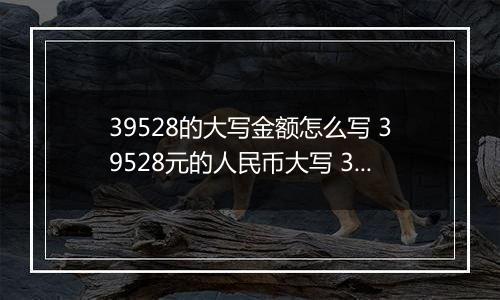 39528的大写金额怎么写 39528元的人民币大写 39528元的数字大写