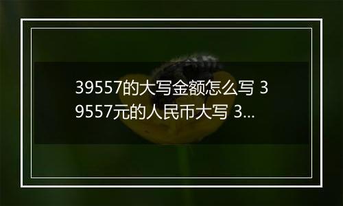 39557的大写金额怎么写 39557元的人民币大写 39557元的数字大写