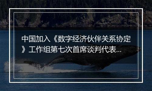 中国加入《数字经济伙伴关系协定》工作组第七次首席谈判代表会议在上海举行