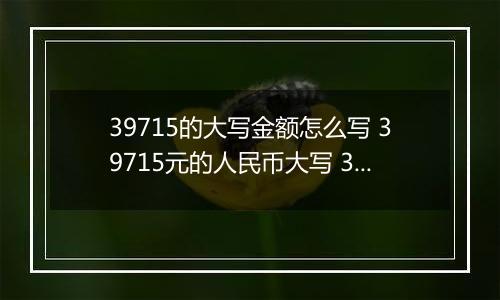 39715的大写金额怎么写 39715元的人民币大写 39715元的数字大写