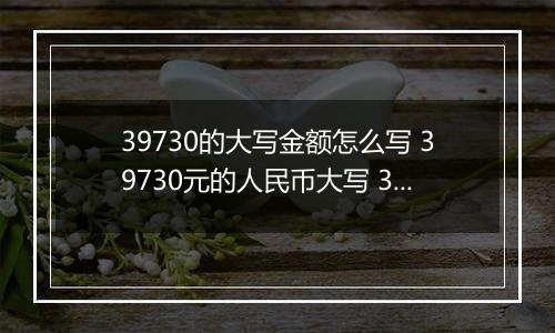 39730的大写金额怎么写 39730元的人民币大写 39730元的数字大写