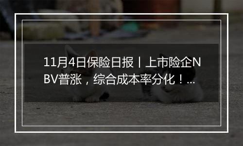 11月4日保险日报丨上市险企NBV普涨,综合成本率分化!“赚大钱”的险资如何炒股?最新重仓股名单出炉!