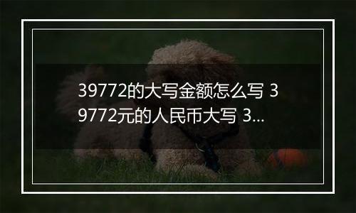 39772的大写金额怎么写 39772元的人民币大写 39772元的数字大写