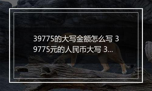 39775的大写金额怎么写 39775元的人民币大写 39775元的数字大写