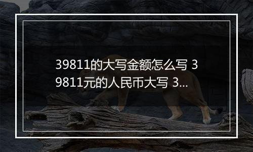 39811的大写金额怎么写 39811元的人民币大写 39811元的数字大写