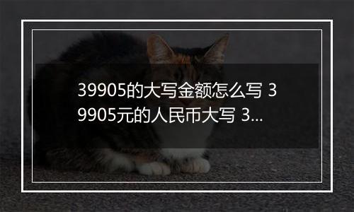 39905的大写金额怎么写 39905元的人民币大写 39905元的数字大写