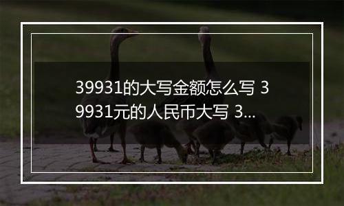 39931的大写金额怎么写 39931元的人民币大写 39931元的数字大写