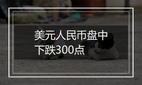 美元人民币盘中下跌300点