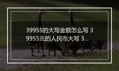 39955的大写金额怎么写 39955元的人民币大写 39955元的数字大写