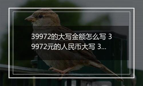 39972的大写金额怎么写 39972元的人民币大写 39972元的数字大写