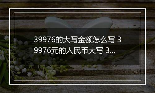 39976的大写金额怎么写 39976元的人民币大写 39976元的数字大写