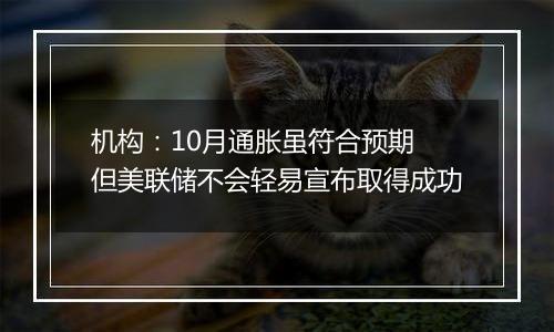 机构:10月通胀虽符合预期 但美联储不会轻易宣布取得成功