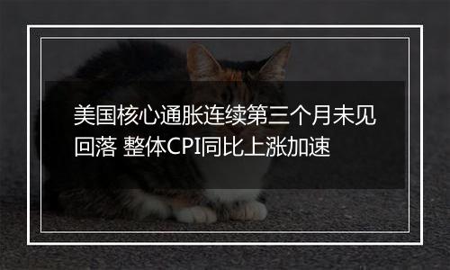 美国核心通胀连续第三个月未见回落 整体CPI同比上涨加速