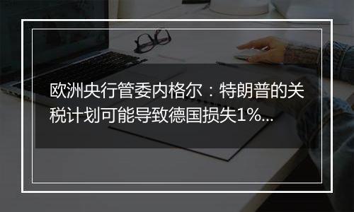 欧洲央行管委内格尔:特朗普的关税计划可能导致德国损失1%的GDP