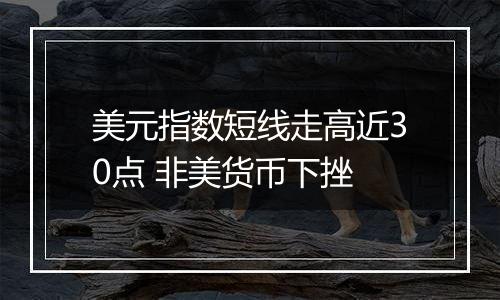 美元指数短线走高近30点 非美货币下挫