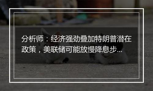 分析师:经济强劲叠加特朗普潜在政策,美联储可能放慢降息步伐