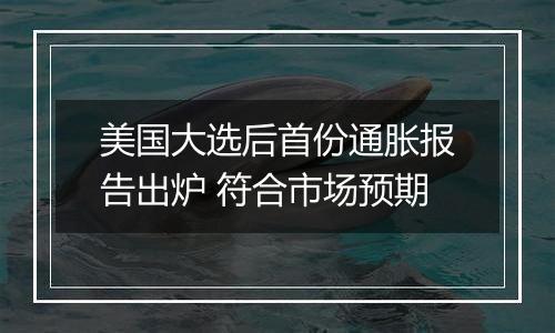 美国大选后首份通胀报告出炉 符合市场预期