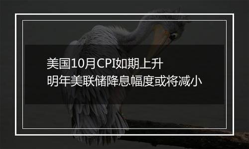 美国10月CPI如期上升 明年美联储降息幅度或将减小