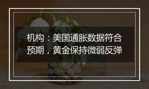 机构:美国通胀数据符合预期,黄金保持微弱反弹