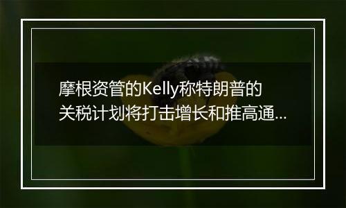 摩根资管的Kelly称特朗普的关税计划将打击增长和推高通胀