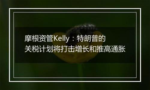摩根资管Kelly:特朗普的关税计划将打击增长和推高通胀