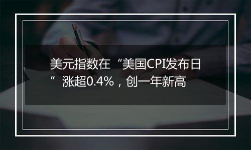 美元指数在“美国CPI发布日”涨超0.4%,创一年新高