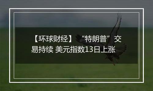 【环球财经】 “特朗普”交易持续 美元指数13日上涨