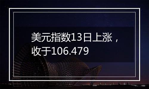 美元指数13日上涨,收于106.479