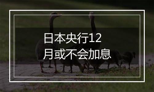 日本央行12月或不会加息