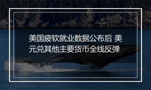 美国疲软就业数据公布后 美元兑其他主要货币全线反弹