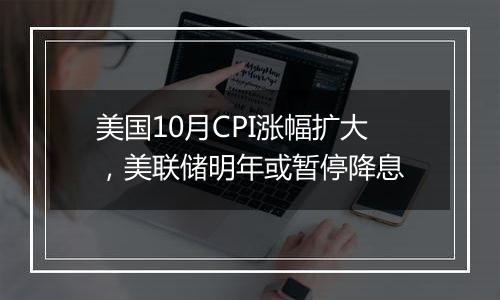 美国10月CPI涨幅扩大,美联储明年或暂停降息