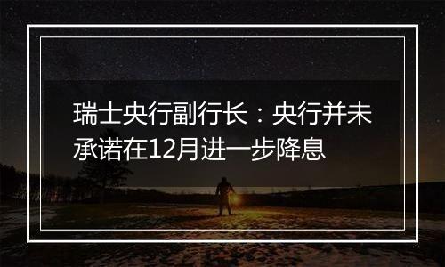 瑞士央行副行长:央行并未承诺在12月进一步降息
