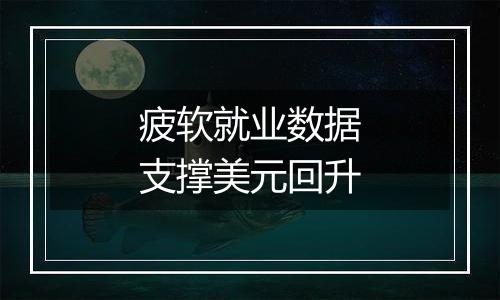 疲软就业数据支撑美元回升