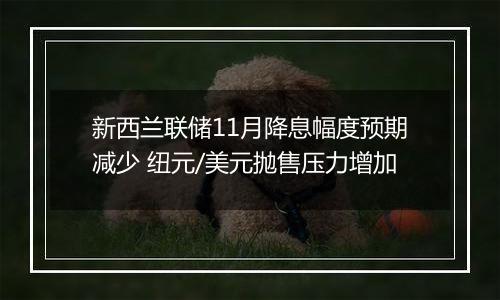 新西兰联储11月降息幅度预期减少 纽元/美元抛售压力增加