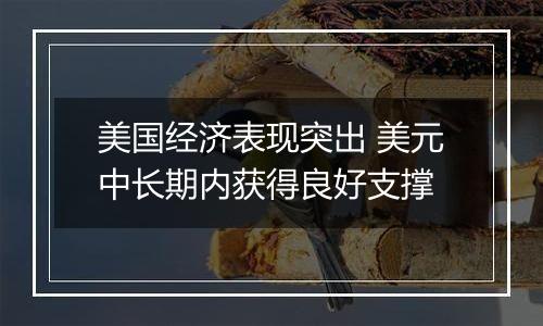 美国经济表现突出 美元中长期内获得良好支撑