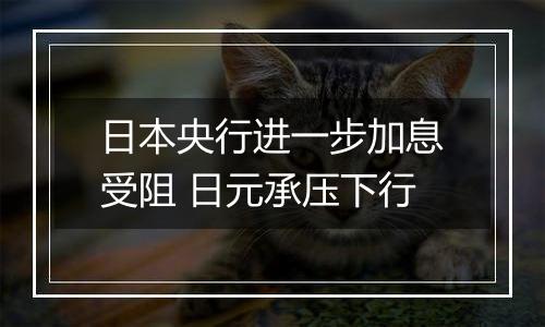 日本央行进一步加息受阻 日元承压下行