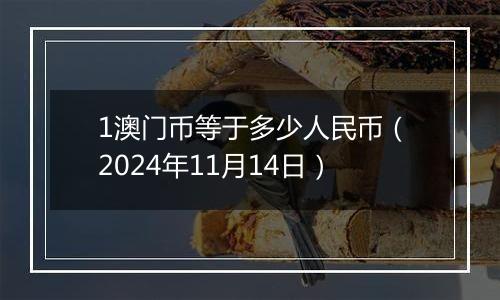 1澳门币等于多少人民币(2024年11月14日)